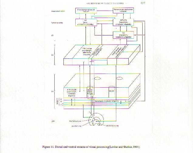 Figure11.jpg (24853 bytes)