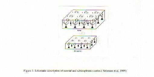 Figure3.jpg (9038 bytes)